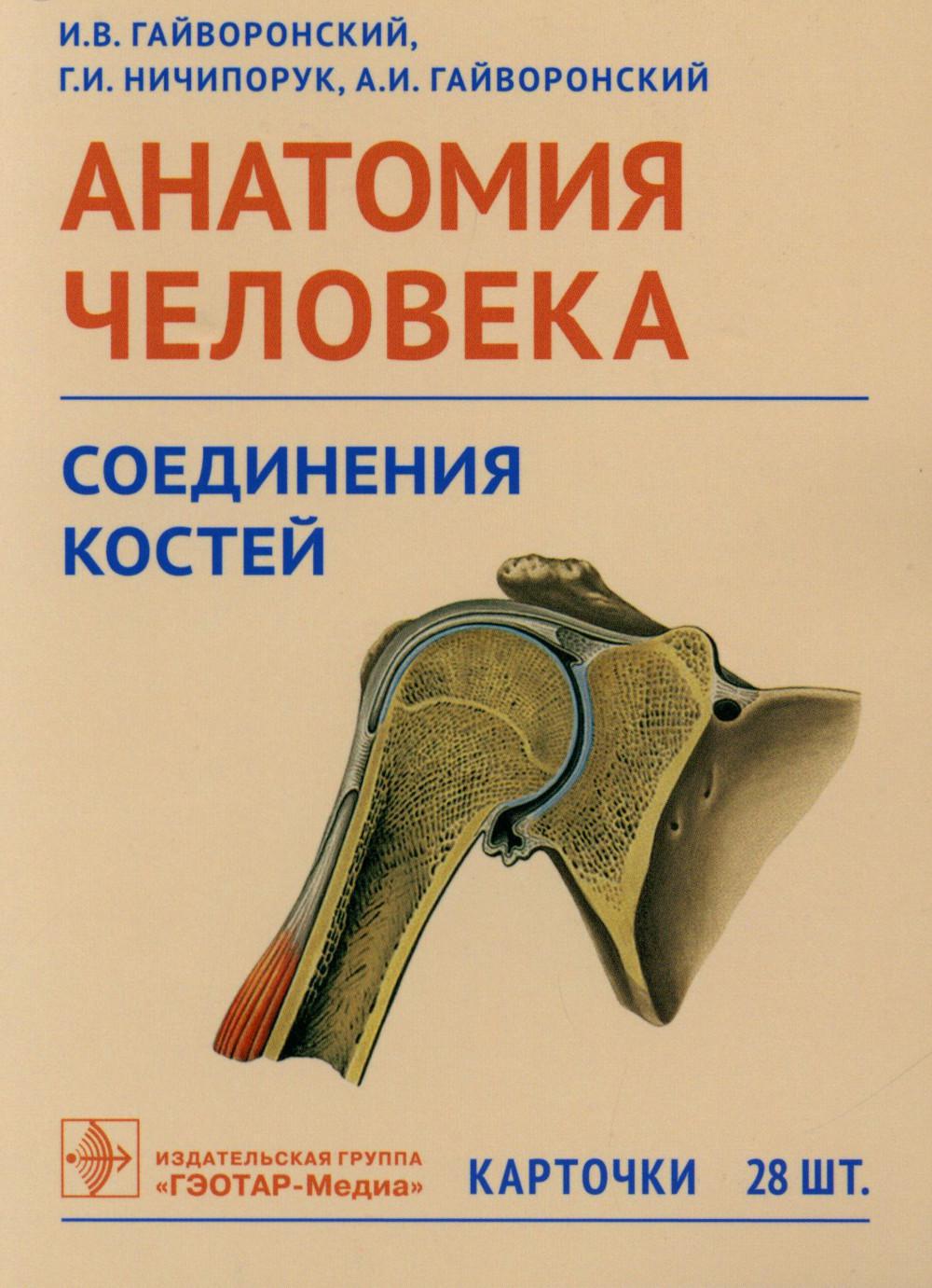 Анатомия человека. Цехмистренко Т.А. 2016 год. Издательство: М.: Академия.  978-5-4468-1591-3